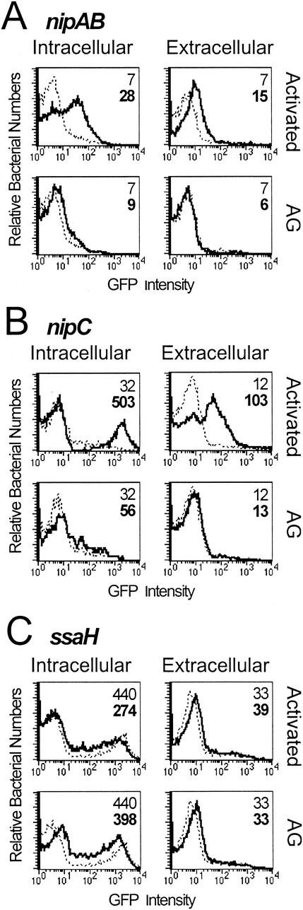 FIG. 7.