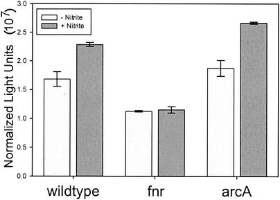 FIG. 5.