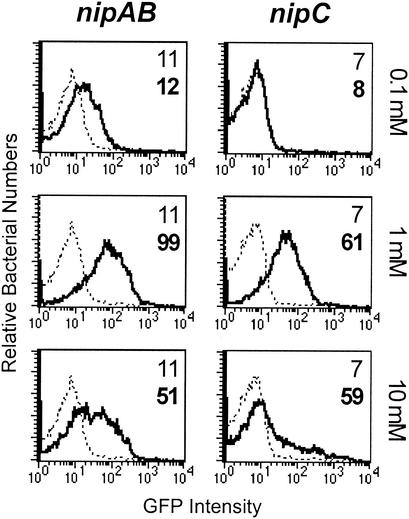 FIG. 2.