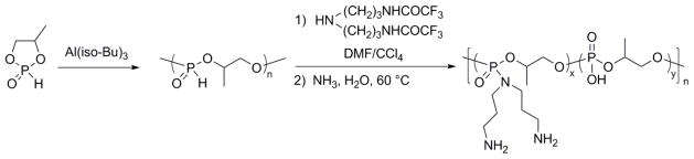 Scheme 2