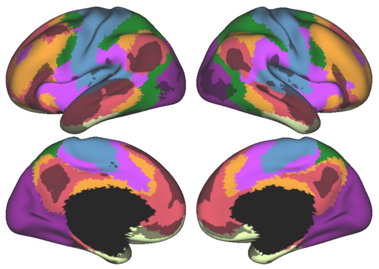 Figure 1—figure supplement 6.