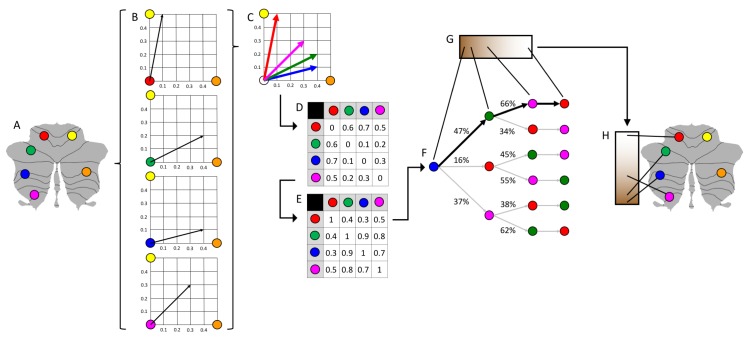 Figure 1—figure supplement 1.