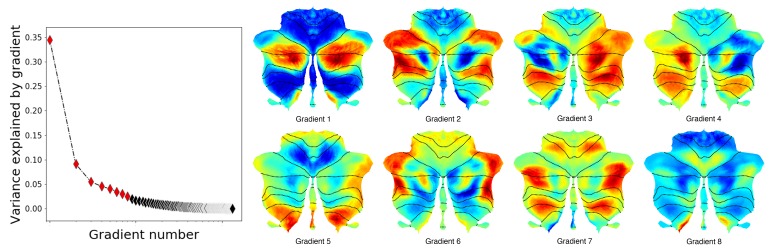 Figure 1—figure supplement 2.