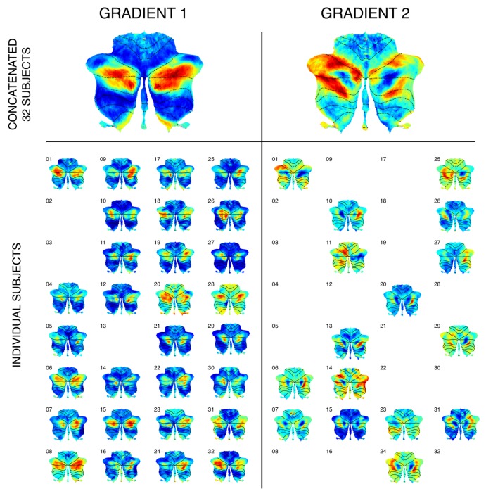 Figure 1—figure supplement 4.