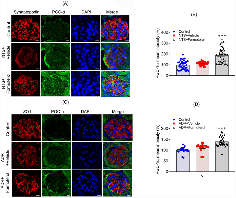 Figure 9: