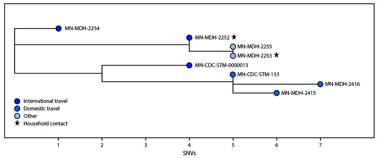 This figure is a phylogenetic tree showing the genetic distance between eight genetic sequences with the B.1.1.7 variant from persons in Minnesota, as well as exposure histories related to travel, household contacts, and others in the community.