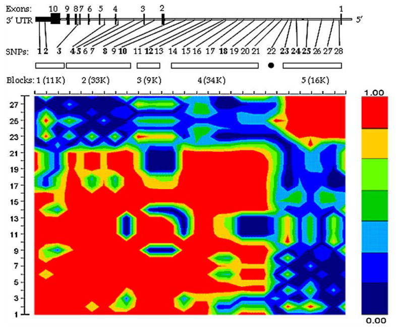 Fig. 1