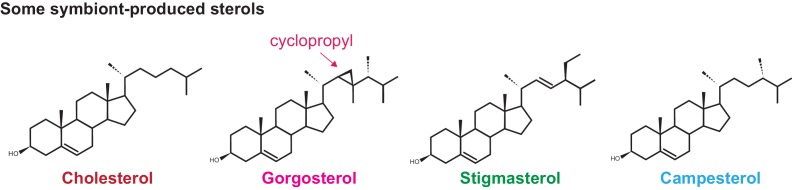 Figure 1—figure supplement 1.