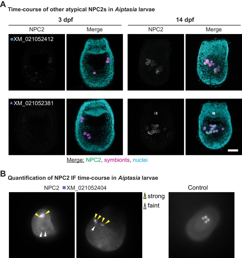 Figure 3—figure supplement 4.