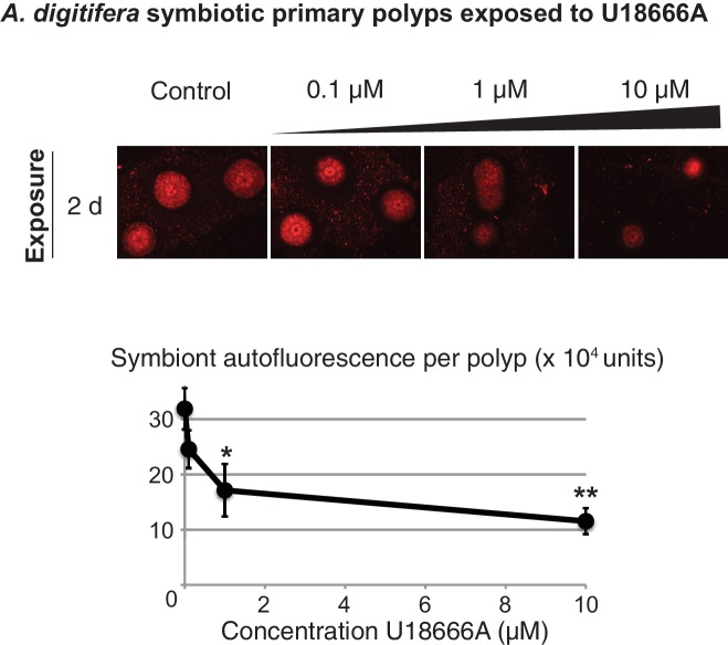 Figure 3—figure supplement 7.