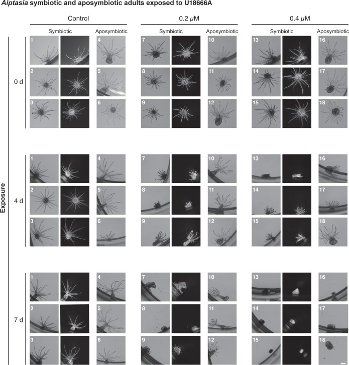 Figure 3—figure supplement 6.