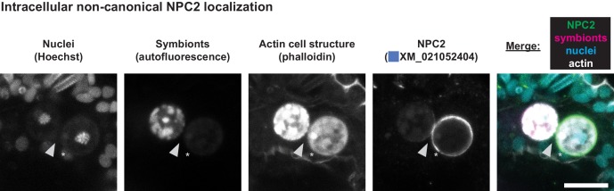 Figure 3—figure supplement 3.