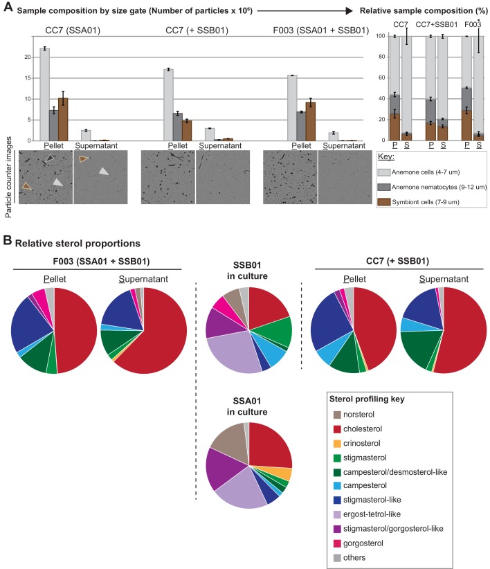 Figure 1—figure supplement 2.