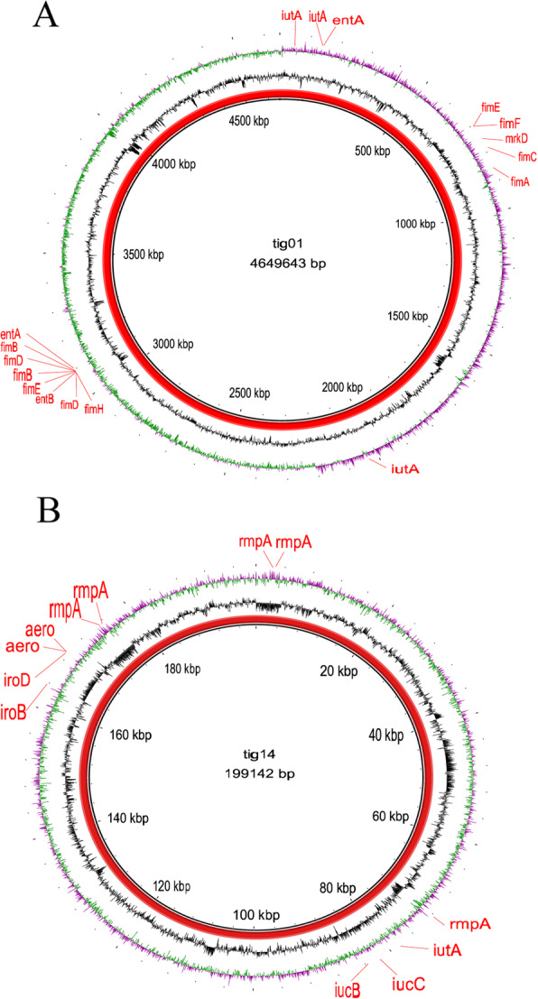 Fig. 8