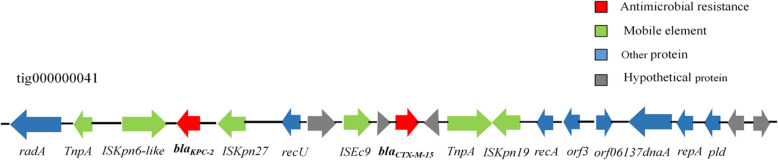 Fig. 7