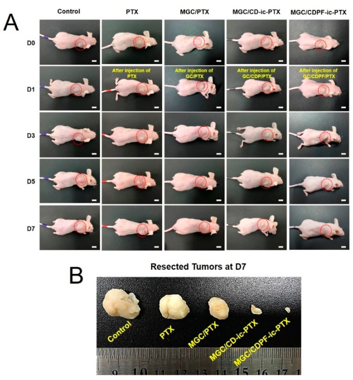 Figure 7