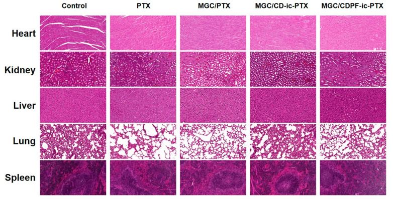 Figure 10