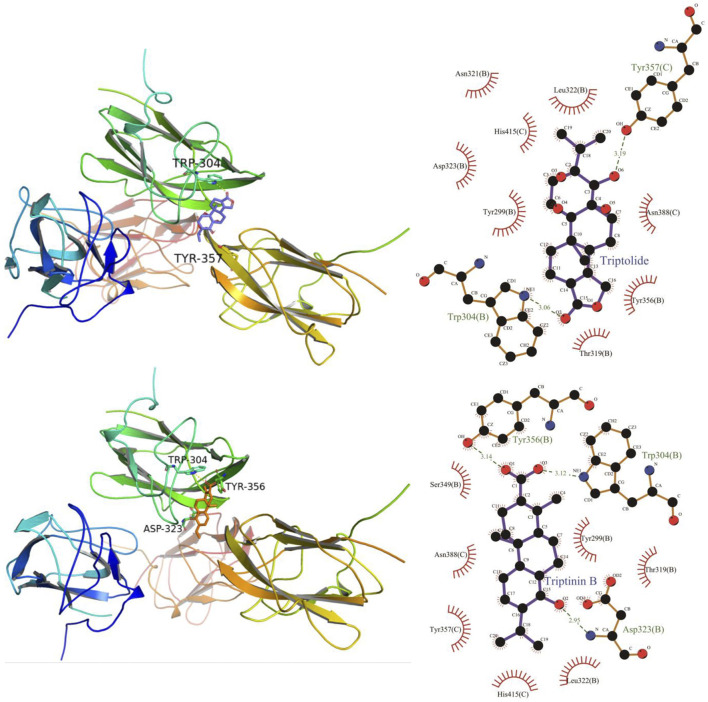 FIGURE 9