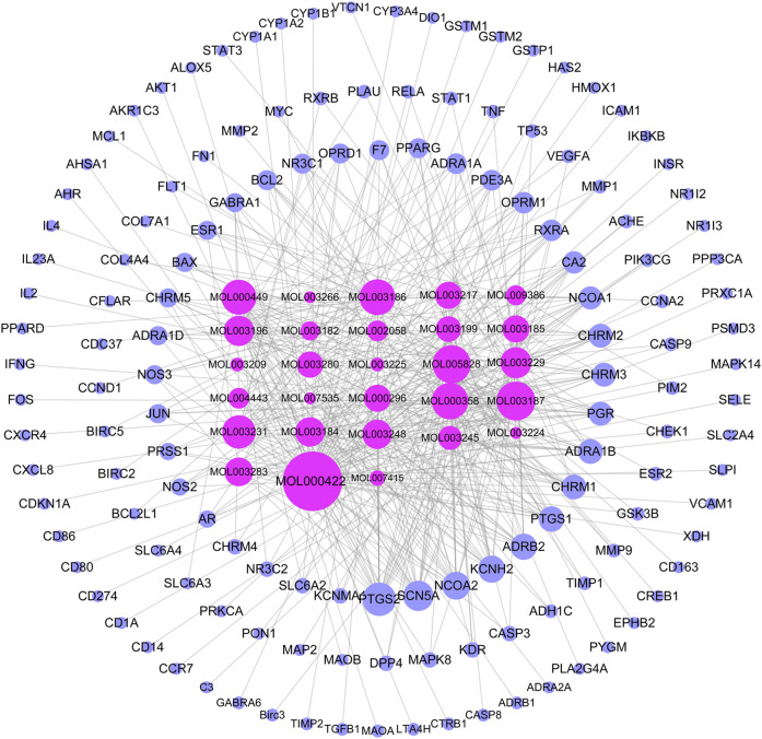 FIGURE 2