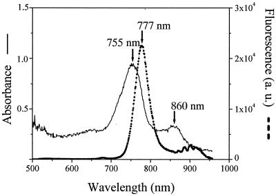 FIG. 2