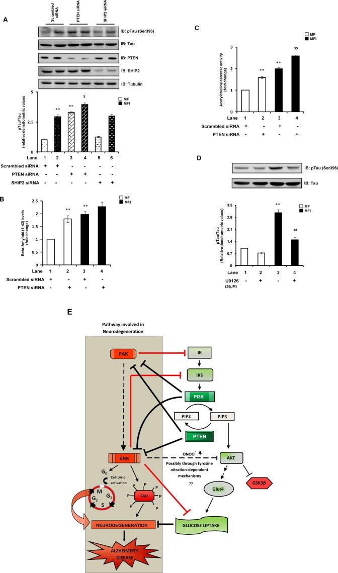 FIGURE 7: