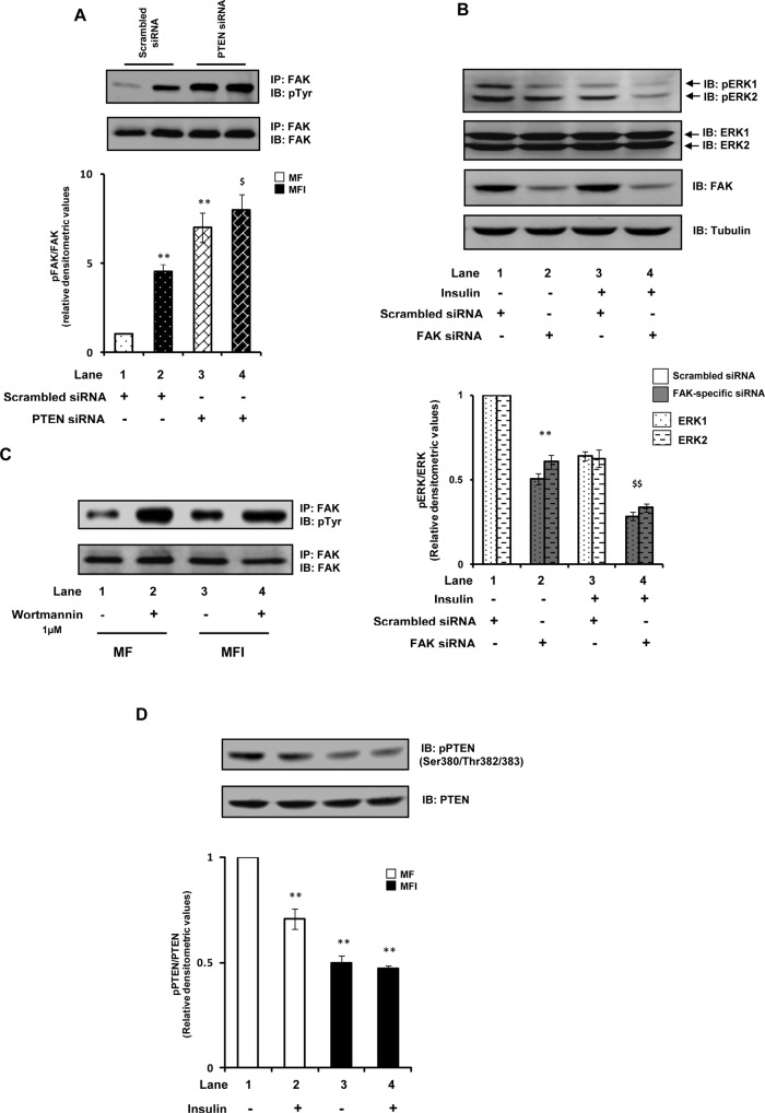 FIGURE 6: