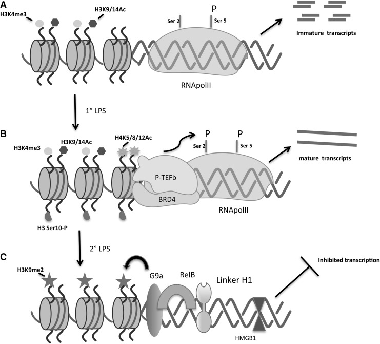 FIG. 1.