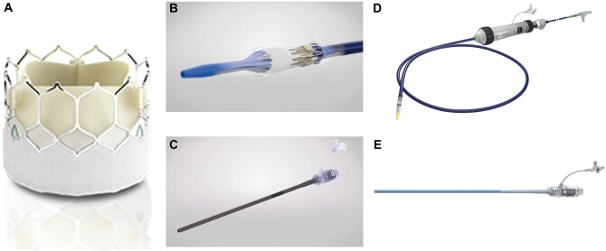 Figure 1: