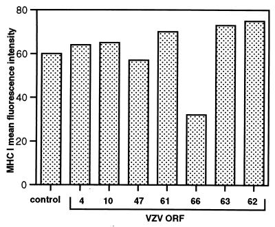 FIG. 8