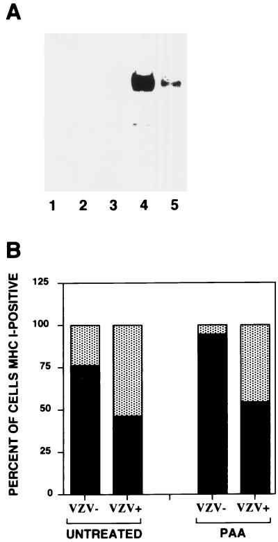 FIG. 7