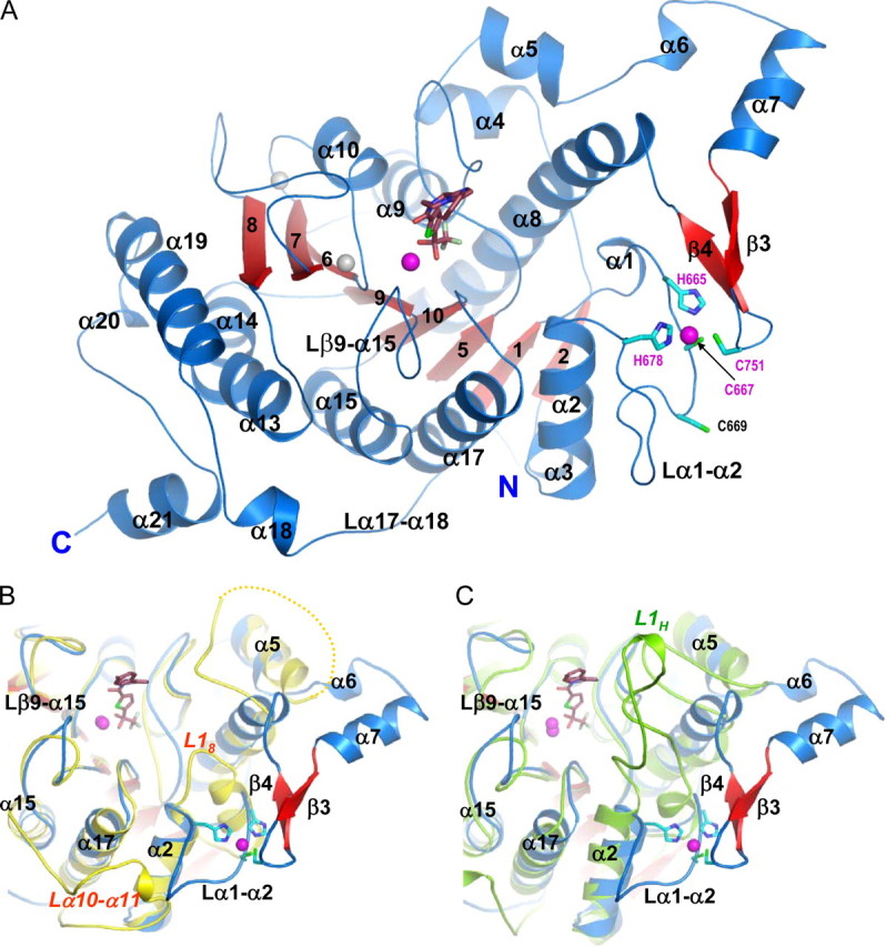 FIGURE 2.