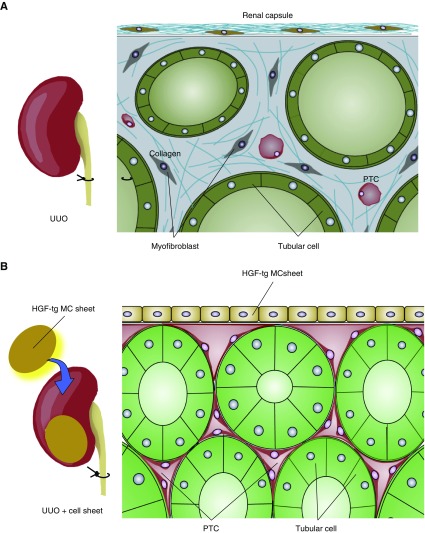 Figure 9.