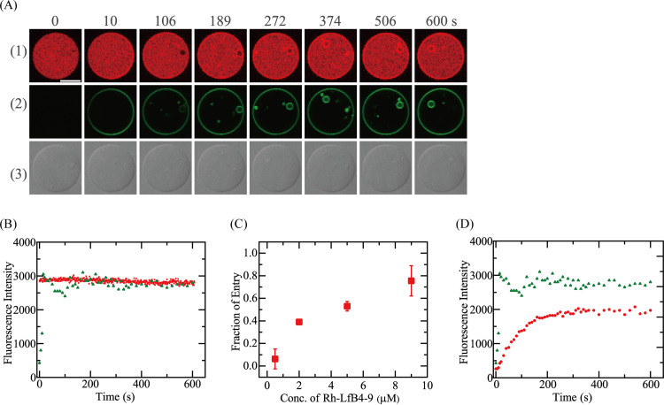 FIG 7