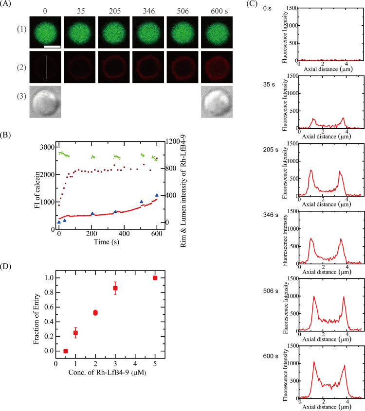 FIG 4