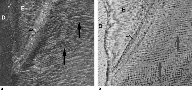 Fig. 3(a,b)