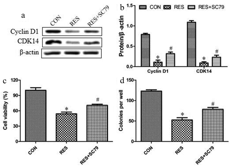 Figure 5.