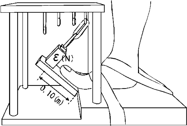 Fig. 1.