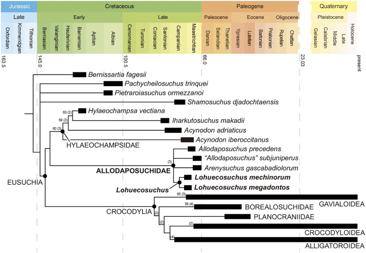 Fig 11