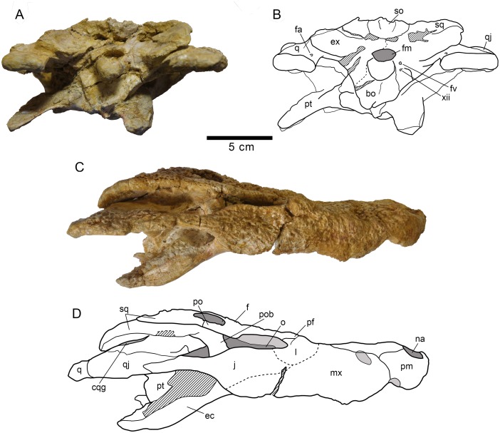 Fig 10