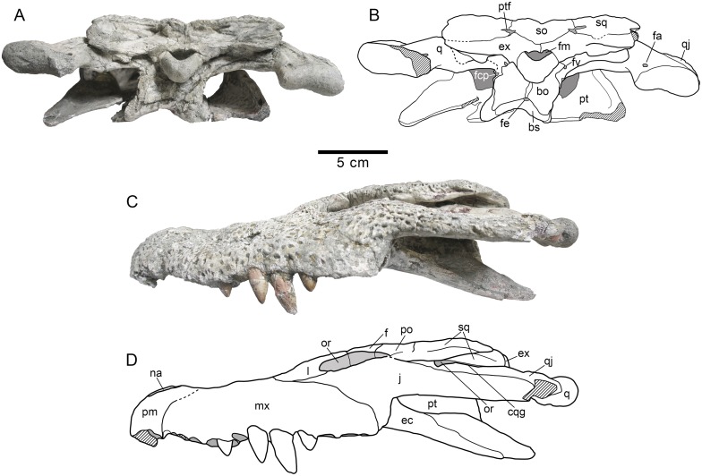 Fig 3