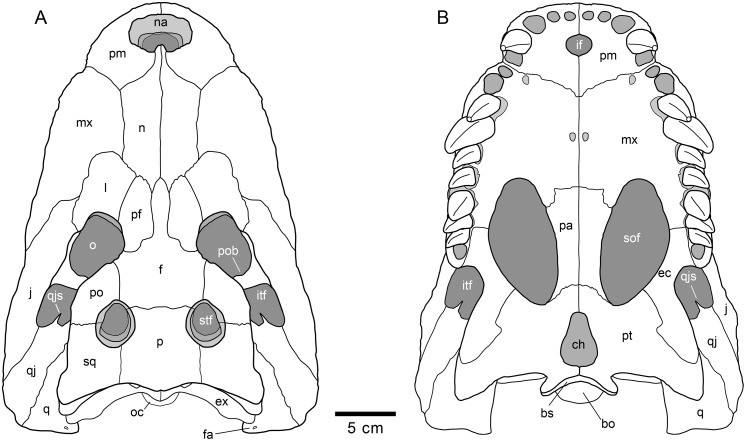 Fig 7