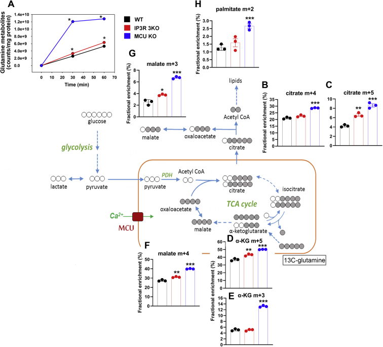 Figure 6