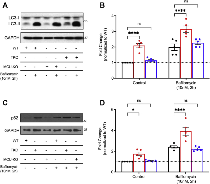 Figure 4