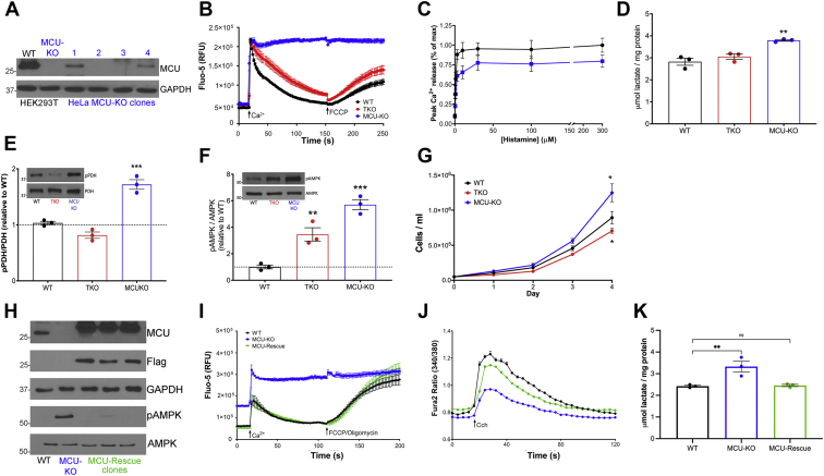 Figure 7