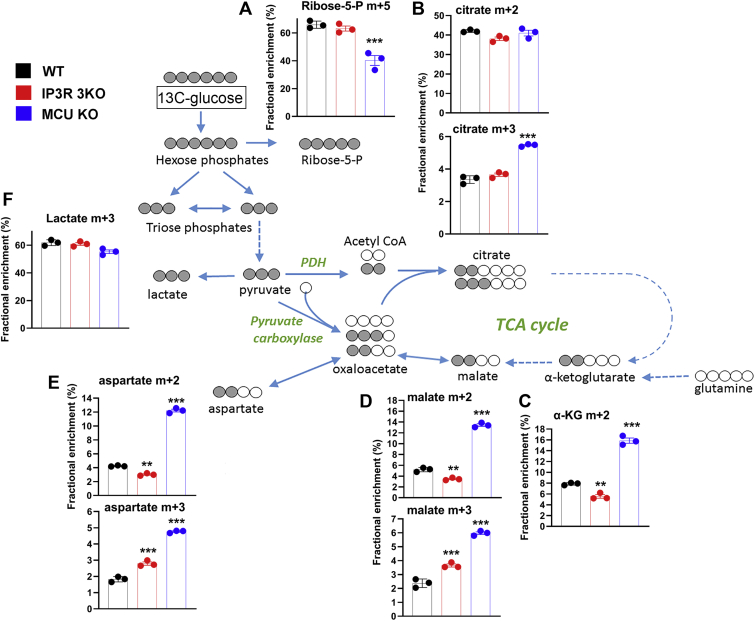 Figure 5