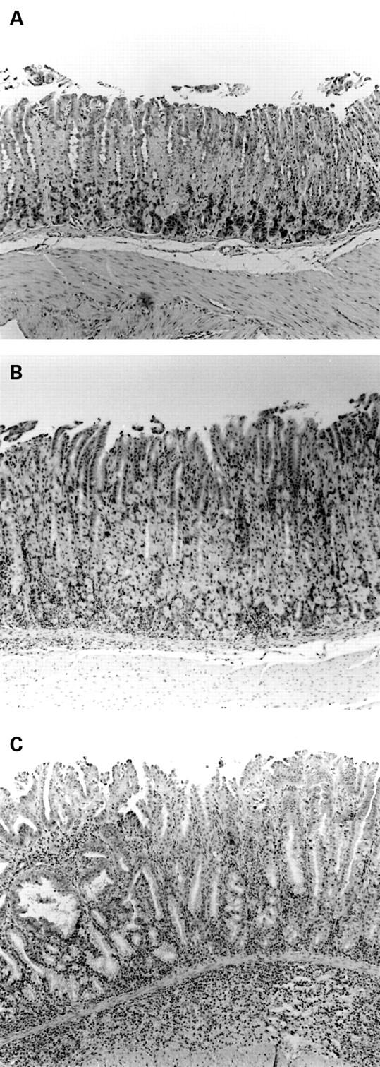 Figure 1  