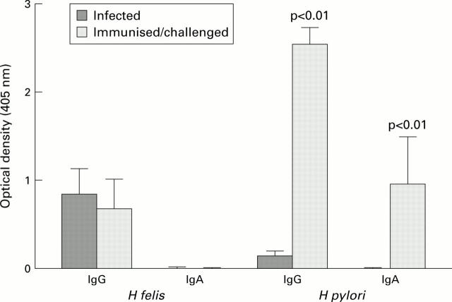 Figure 2  