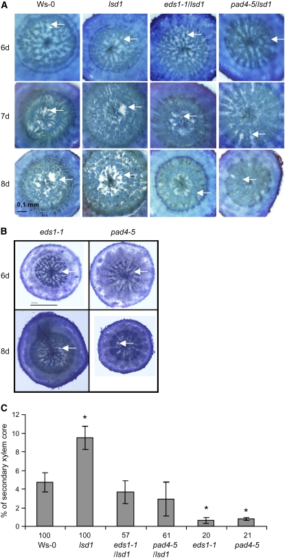 Figure 5.