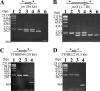 FIG. 2.