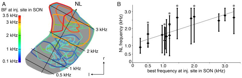 Fig. 5